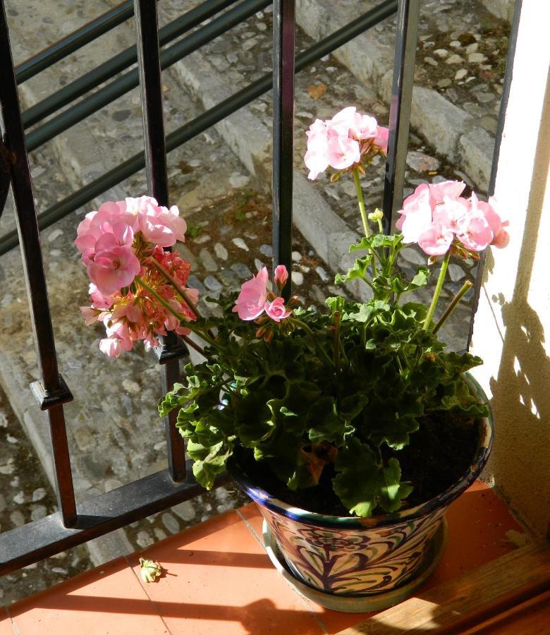 Apartment Escapadas Romanticas En Jacuzzi